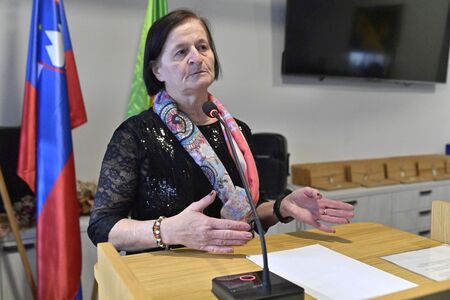 Deseta državna razstava strukljev (20)